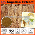 High Quality Angelica Sinensis Extract ferulic acid